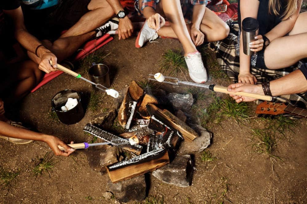 DIKER Grillspieße Teleskop Marshmallow, Stockbrot Stöcke Roasting Sticks Schaschlikspieße, Lagerfeuerspieße Edelstahl Ausziehbar, Grillstab, Grillbesteck Set für Camping Grill (8er Pack, Edelstahl)
