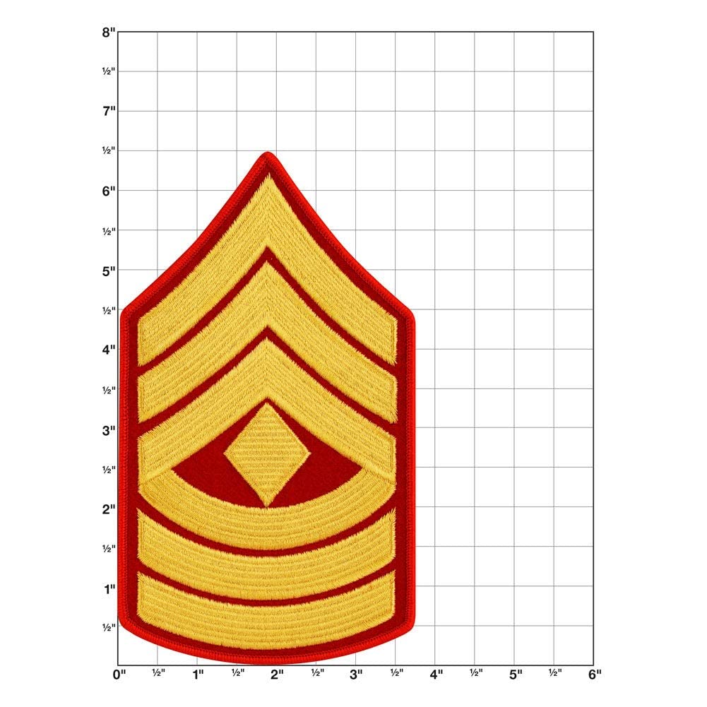 Amazon.com: United States Marine Corps USMC Chevron Gold