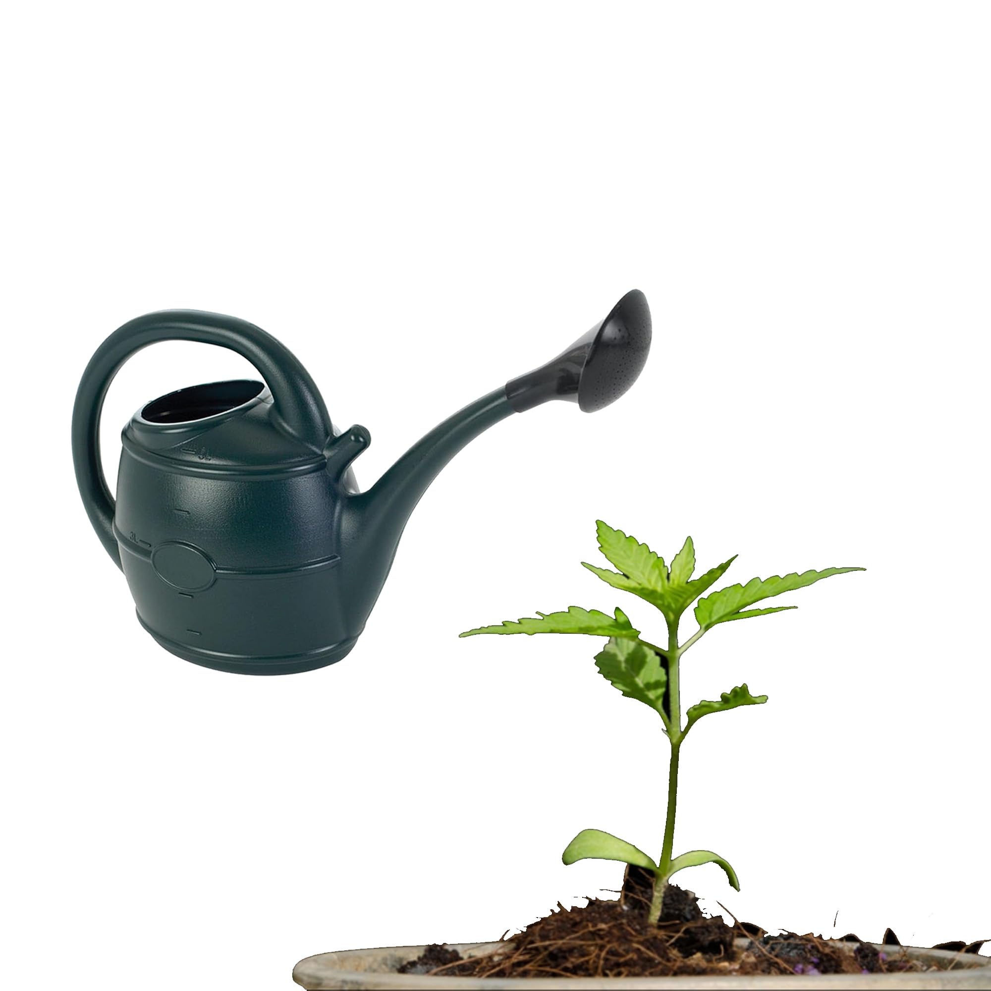 Green Watering 13 Litres Can Ideal For Everyday Gardening Tasks With Rose Head Generous Capacity