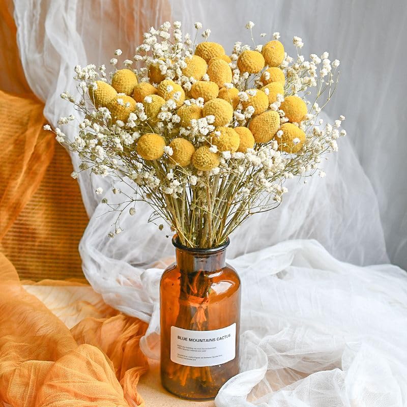 Ramo de flores secas Babys Breath con Craspedia 17 pulgadas miniatura 4