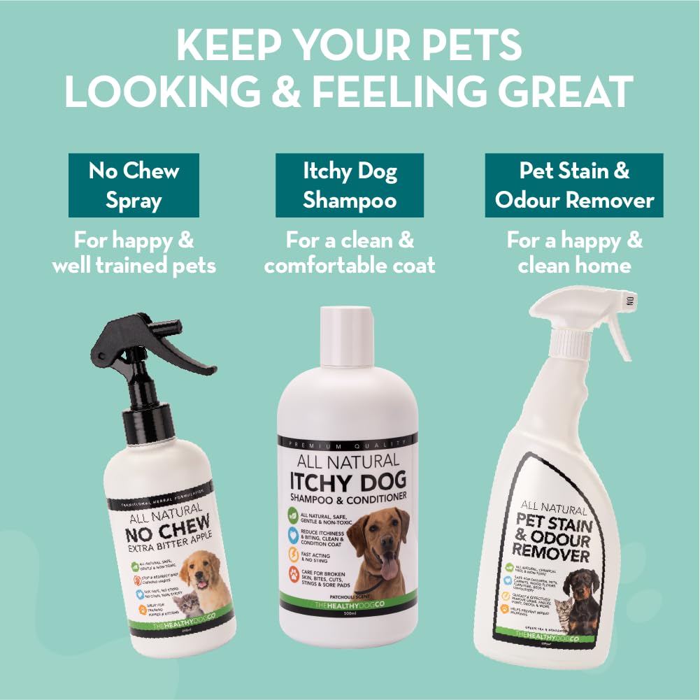 The Healthy Dog Co Eliminador de Manchas y olores de Mascotas Totalmente Natural para Perros y Gatos | Mata gérmenes, Elimina vómitos, orina, heces, Baba, olores | 1 litro