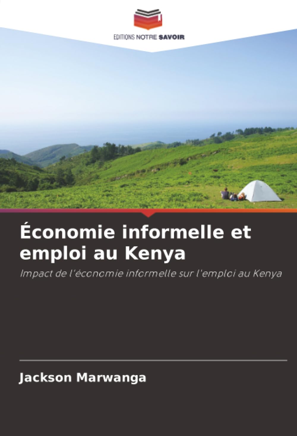 Économie informelle et emploi au Kenya: Impact de l'économie informelle sur l'emploi au Kenya