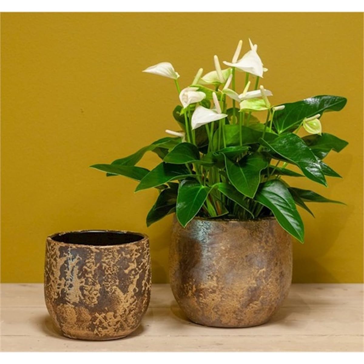 innaGLAS Pot à Plantes Vintage Mago en céramique, Aspect Balayage, doré, 17 cm, Ø 19 cm - Pot de Fleurs