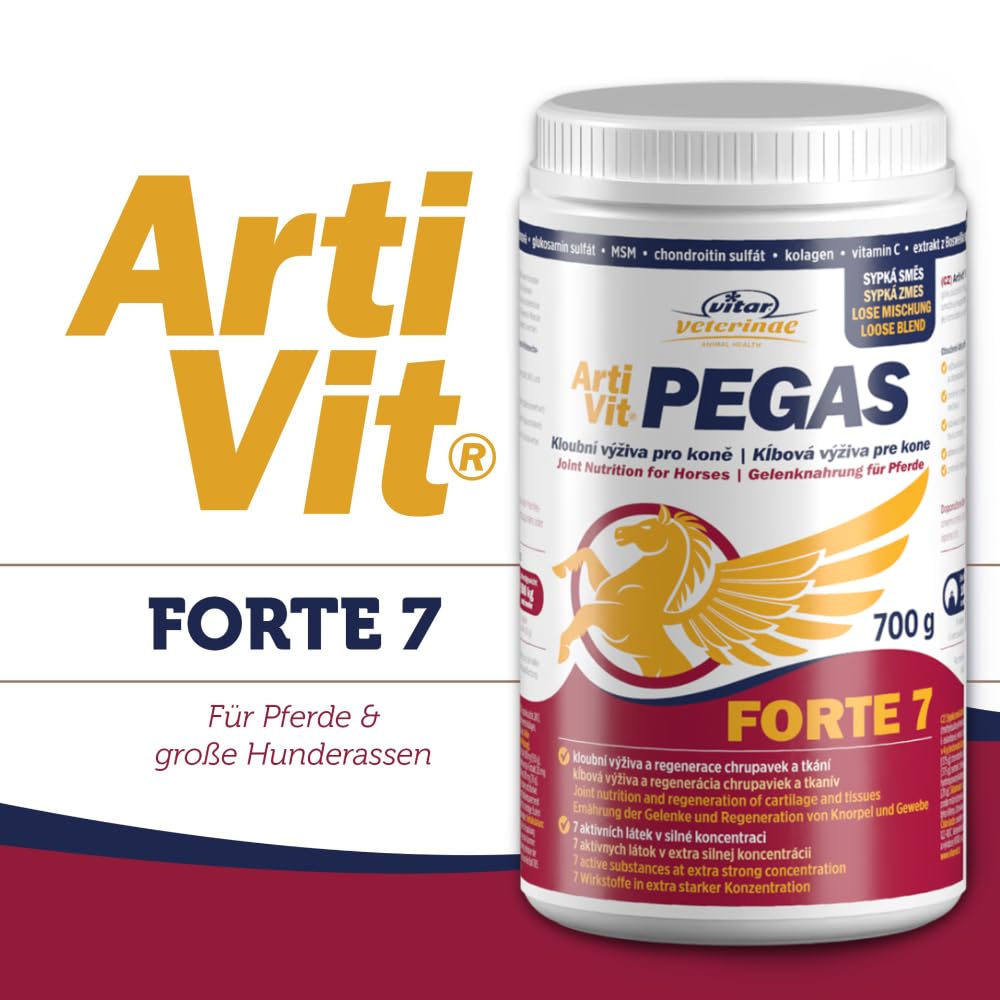 VITAR Veterinae Artivit Pegas Forte – Gelenk Ergänzungsfuttermittel für Pferde & große Hunde, MSM, Glucosamin & Chondroitin, unterstützt Beweglichkeit
