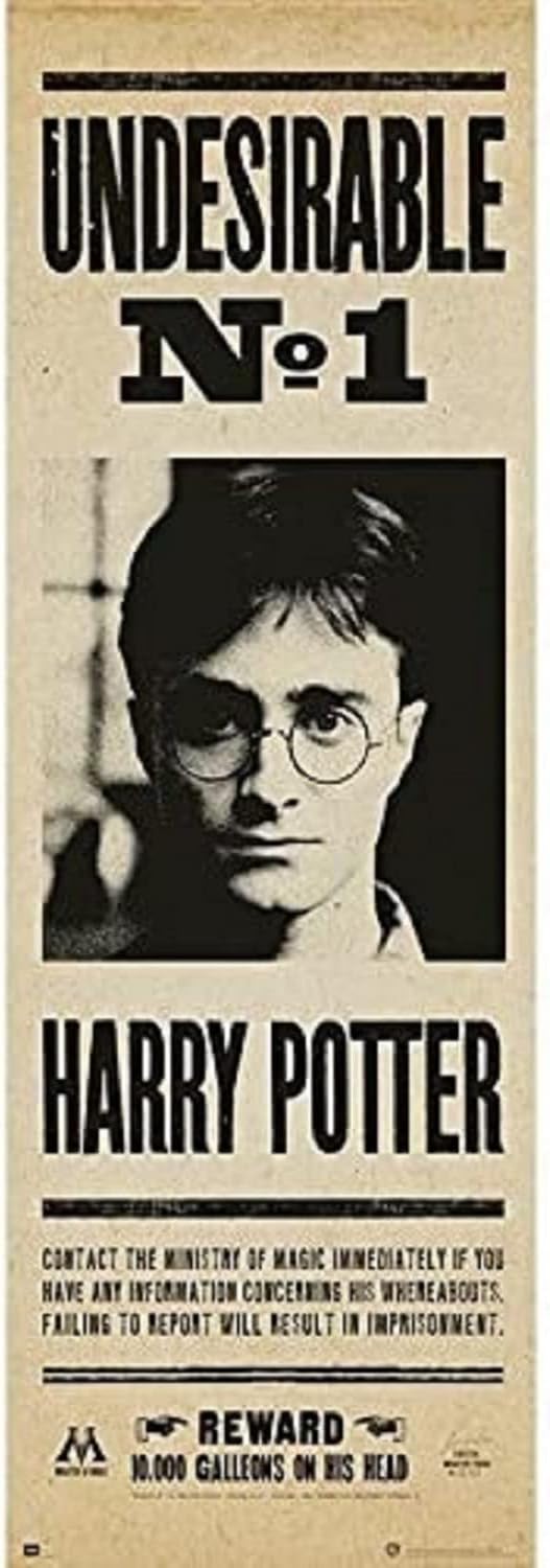 Grupo Erik Editores Poster Puerta Harry Potter Undesirable Nº1