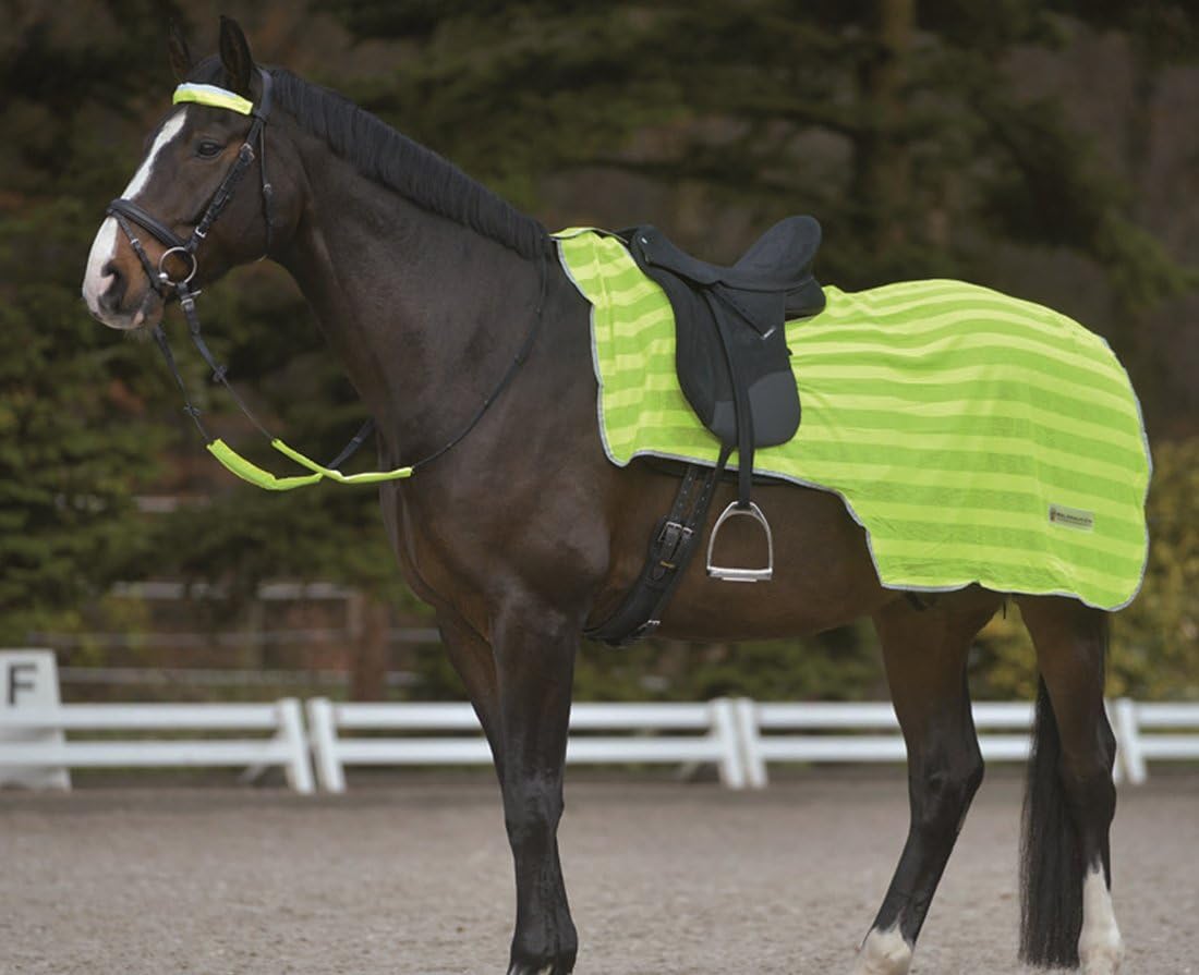Reitsport Amesbichler Waldhausen Reflex Kidney Blanket โ Reflective Horse Blanket One Size