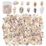 PandaHall Alrededor de 175 g Mezclado océano Playa Espiral Conchas de mar Manualidades encantos para decoración del hogar, Fiestas temáticas de Playa, Velas, decoración de Boda, Manualidades