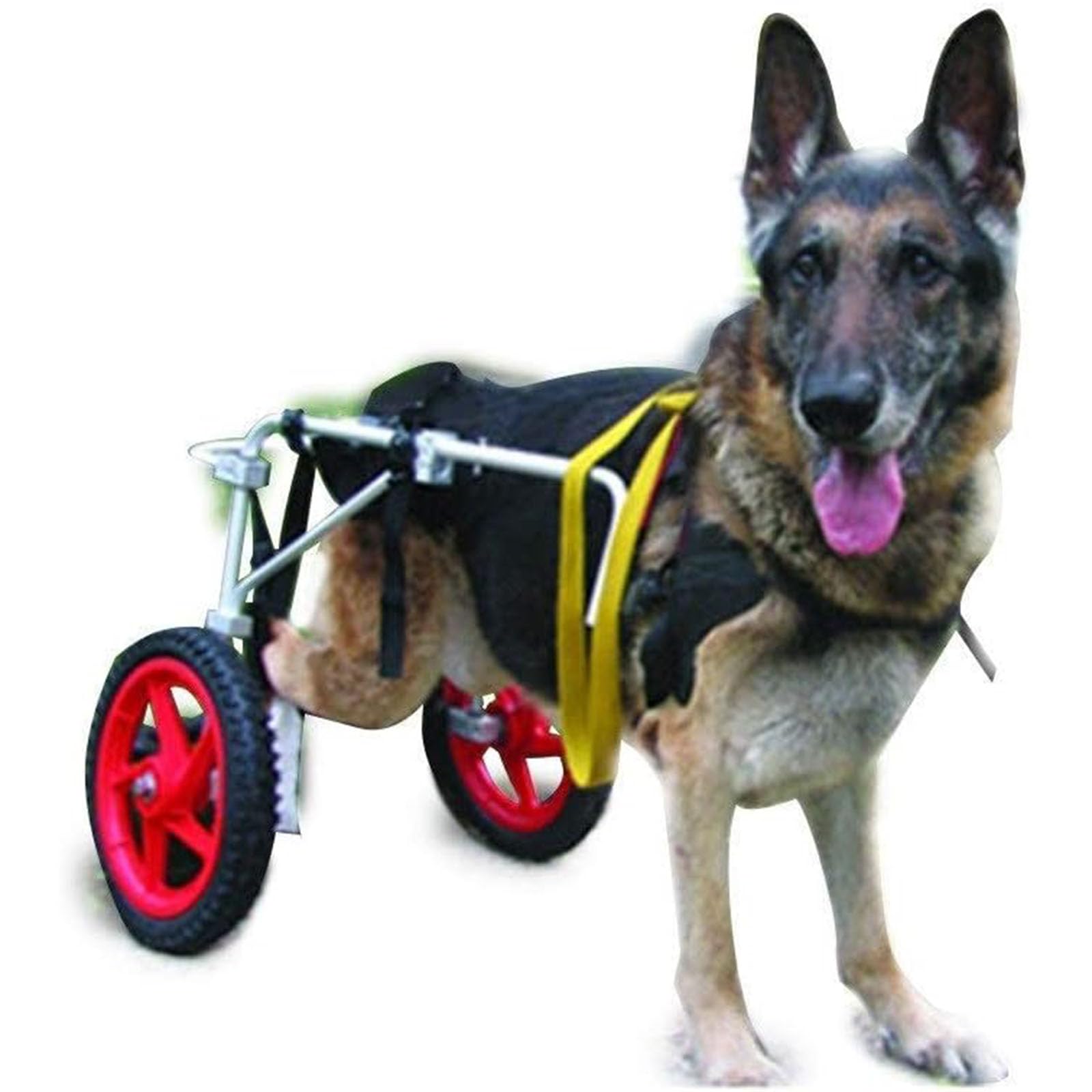 Silla de ruedas para perros de gran tamaño y carrito de asistencia para mascotas