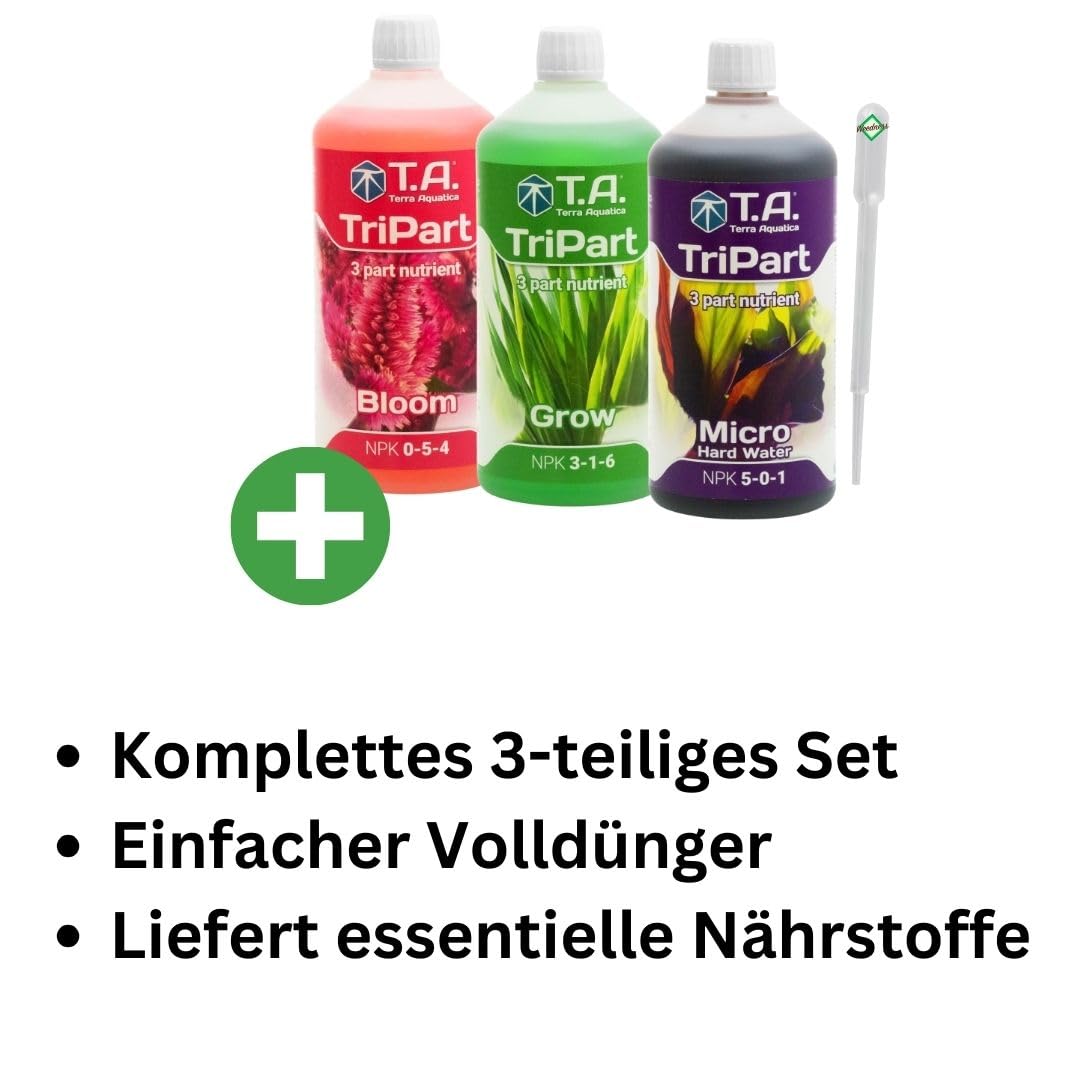Een geschikte meststof voor de hibiscus groei uitleg