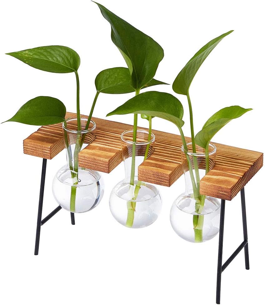 MIRACLE BLACK Desktop Glass Planter Bulb Vase Bulb Plant