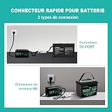 EverExceed 12V 20A Lithium Battery Charger 14.6V Lifepo4 Charger AC-DC, 100Ah Lifepo4 Battery Charger for Lifepo4 Lithium Deep Cycle Battery of Car Marine RV - 5