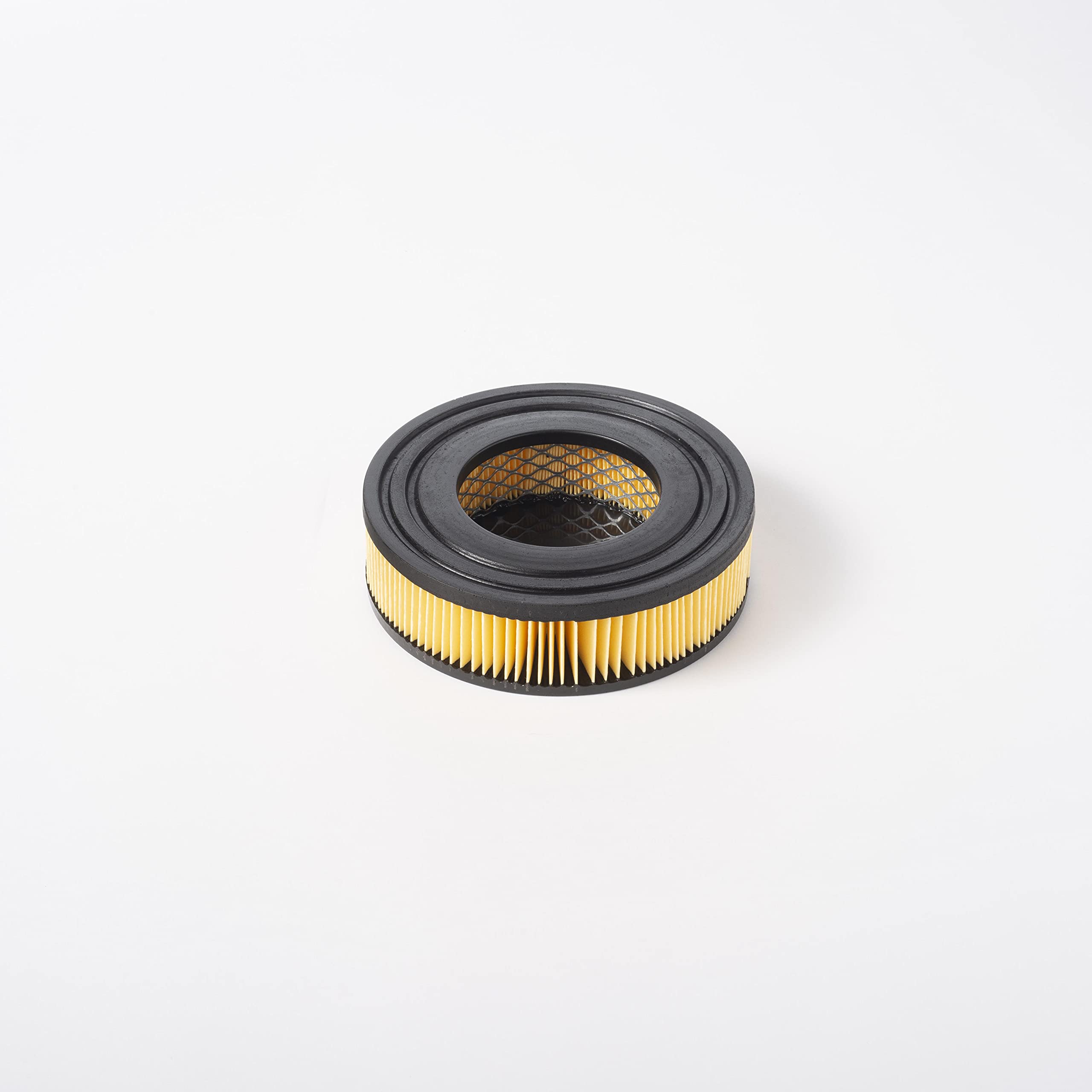 Synclean 2512749 FILTRO CARTUCCIA per aspirapolvere GHIBLI e WIRBEL