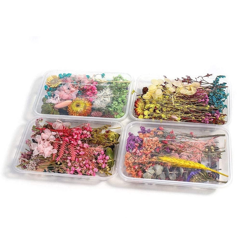 DEZIINE� Natural Real Dried Flowers for Art Craft Mixed Soap, Candle, Scrapbook, DIY, Resin Tray Jewellery, Pendant- [Random Box, Multicolour] (2 Box)-image-10