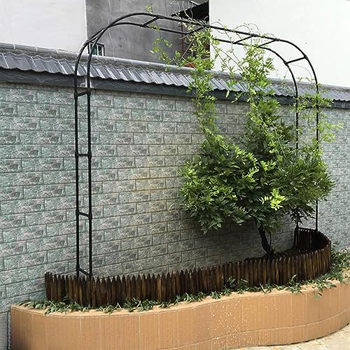 Structure en acier robuste de jardin et arche en métal de qualité - 2
