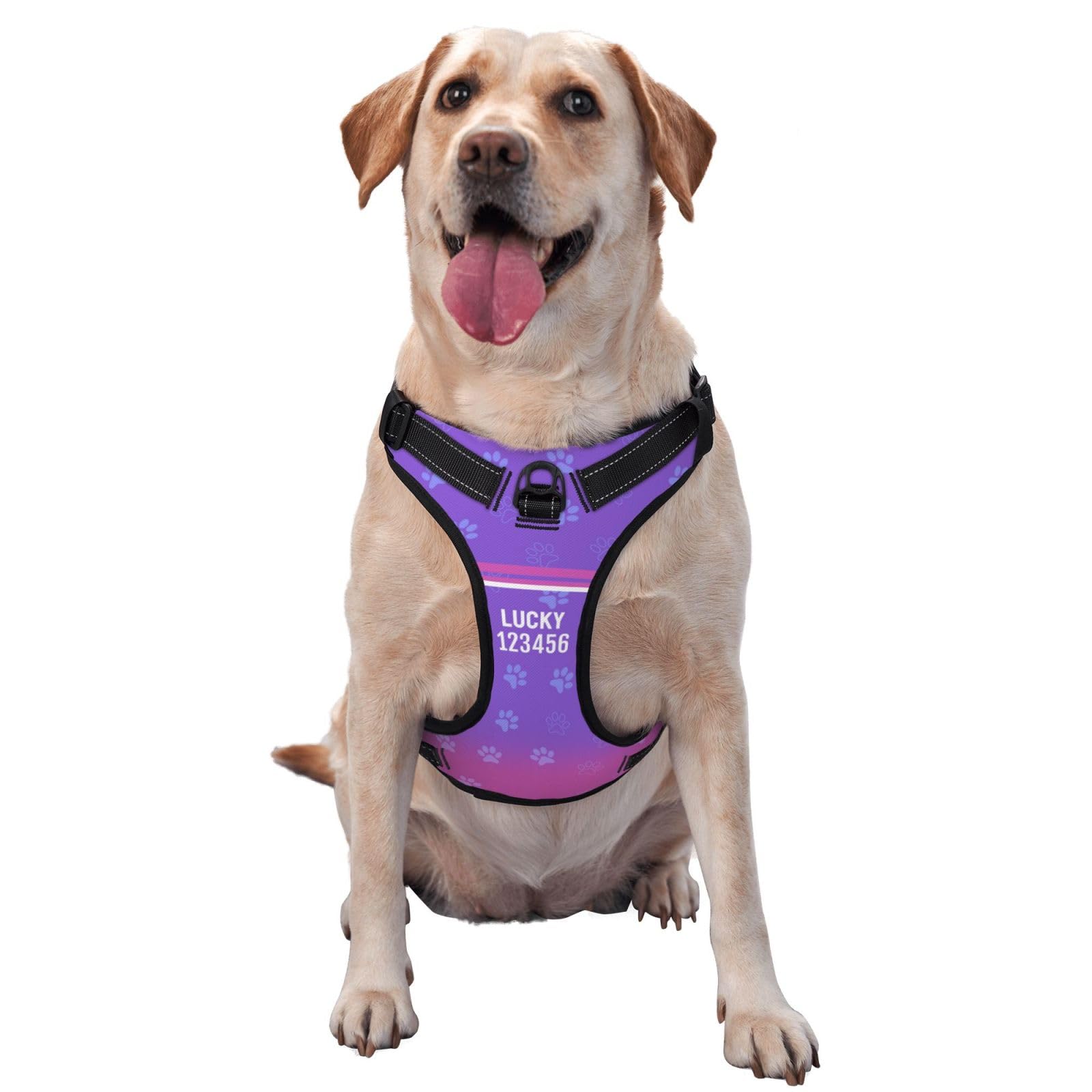 Personalized No Pull Dog Harness Leash, Custom Heavy Duty Reflective Dog Harness with Photo/Name/Phone Number/Text/Logo