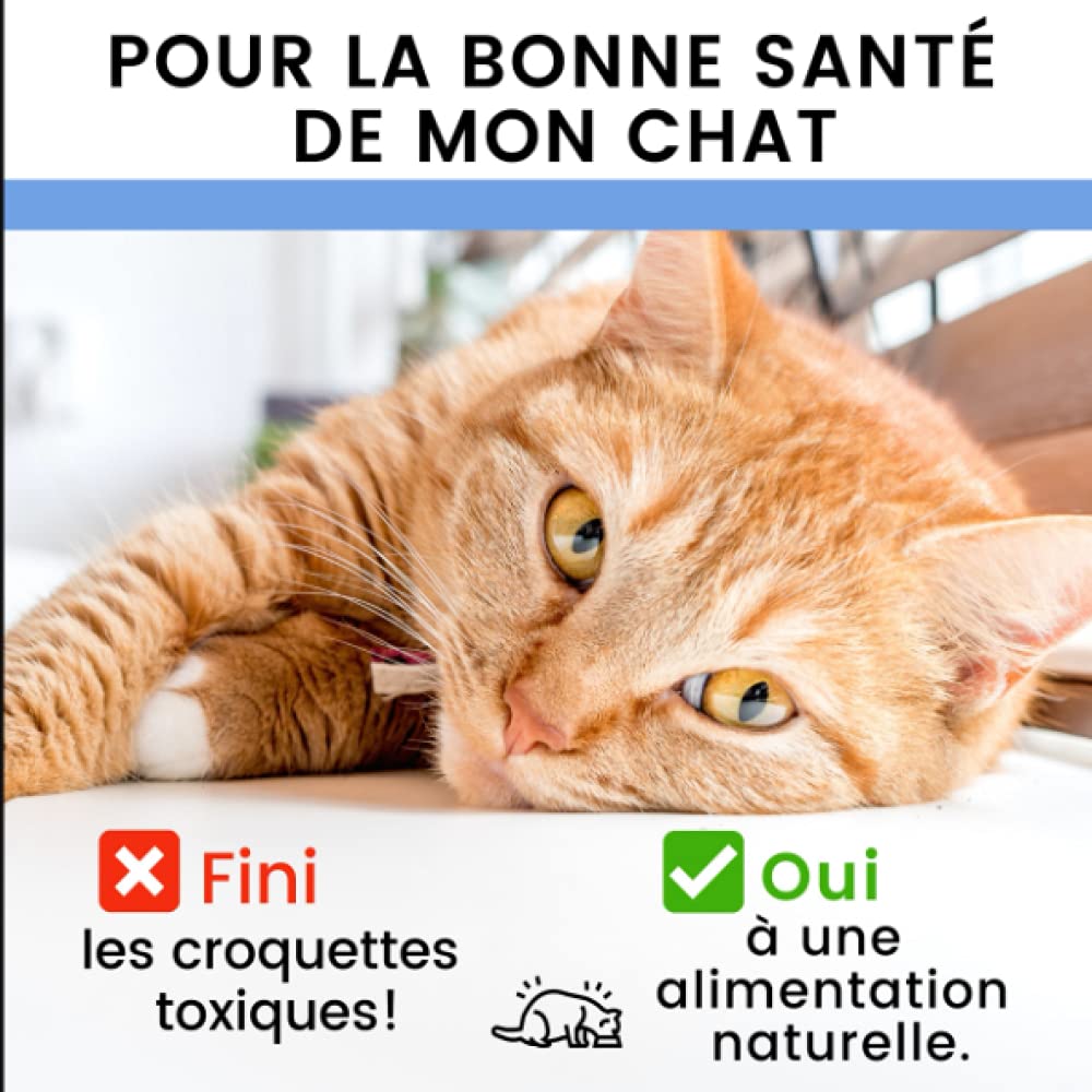 Homeopathie Pour Chat Qui S arrache Les Poils Je Nourris Mon Chat Naturellement | freixenet.com