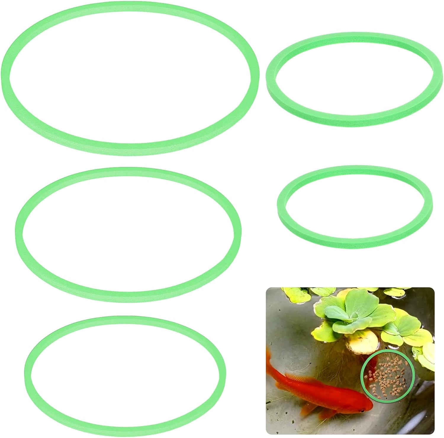 5 Pcs Floating Plant Corral,Aquarium Floating Plant Barrier Foam Ring Fish Feeding Ring for Fish Tank Aquarium,Green