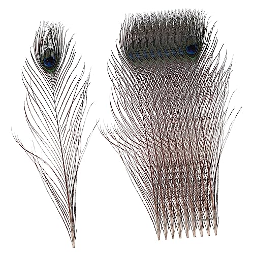 HAWILLOSCH 10 Piezas pluma de pavo real casamento decoração wedding decoration penachos artesanales materiales de de pavo real de pavo real naturales decoración del hogar