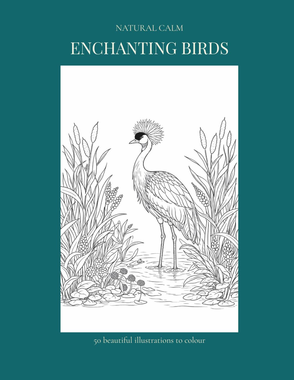 Enchanting Birds: 50 beautiful illustrations to colour (Natural Calm)