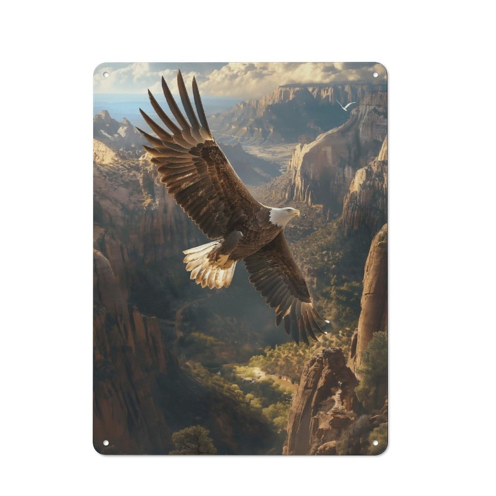 Junmoney Style-10 Metal Plaque 40X30cm With Eagle Soaring Over Canyon For Hallway Wall, Retro Decor, For Wall Display Collectors