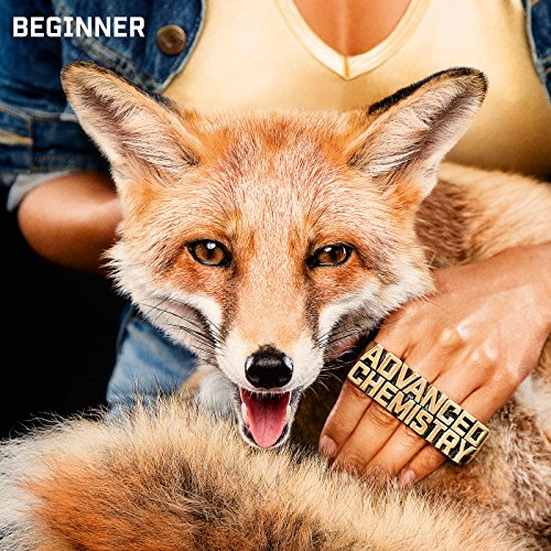 Beginner feat. Samy Deluxe