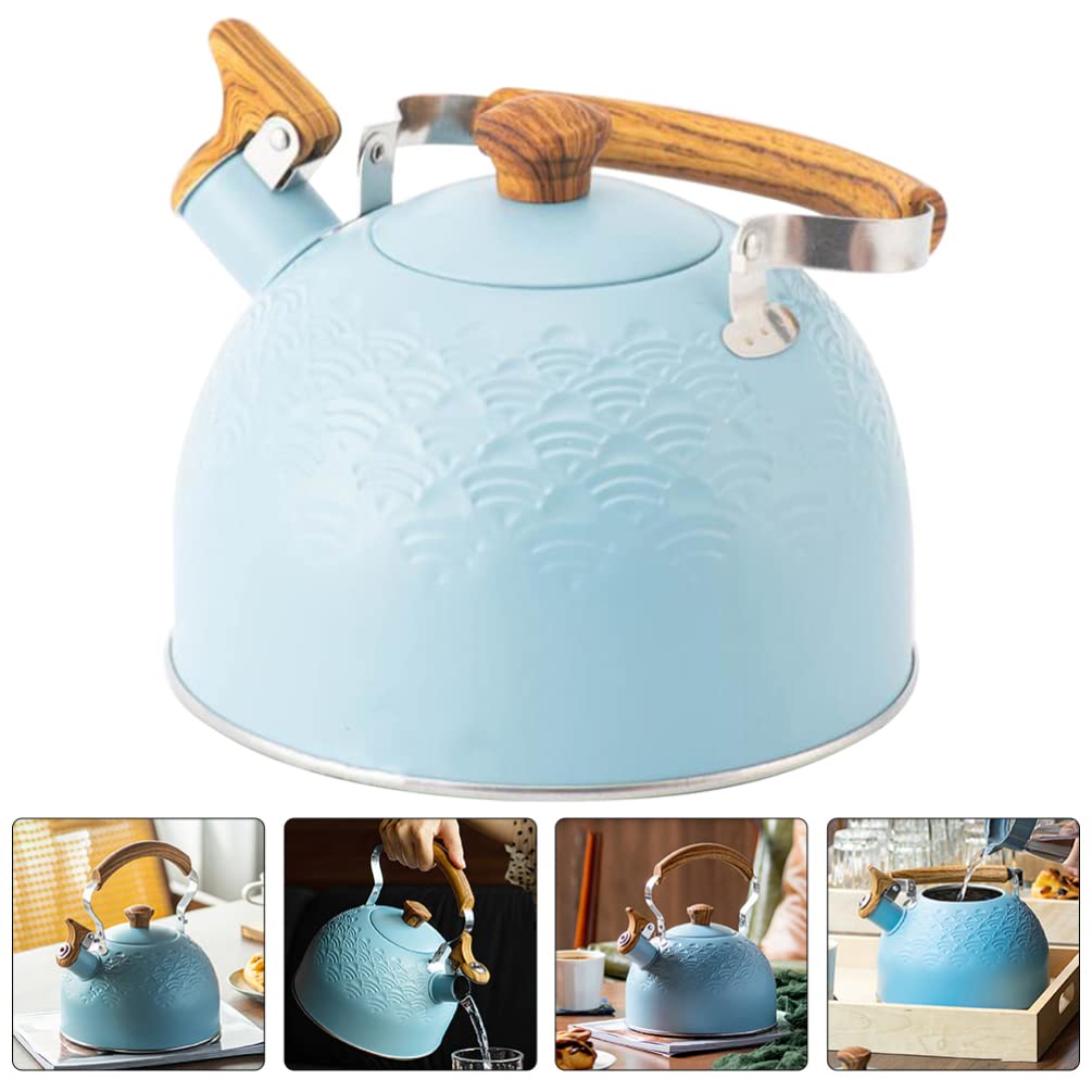 Bollitore con fischio Bollitore per il tè piano cottura Bollitore per il tè bollente teteras para hervir agua teiera Forte caffettiera retrò Bollitore con fischio per il ristorante Prepara il tè Pe
