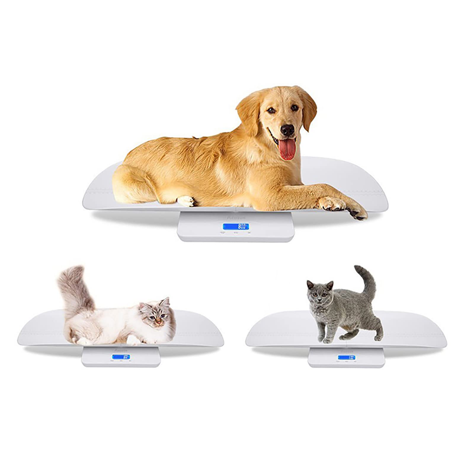 Bilancia digitale di precisione per animali domestici, bilancia multifunzione per bambini con vassoio per misurare il peso e l'altezza dei neonati e retroilluminazione blu, fino a 220 libbre / 100 kg
