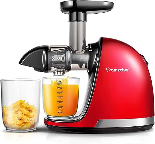 Extracteur de Jus de Fruits et Légumes Slow Juicer Press AMZCHEF