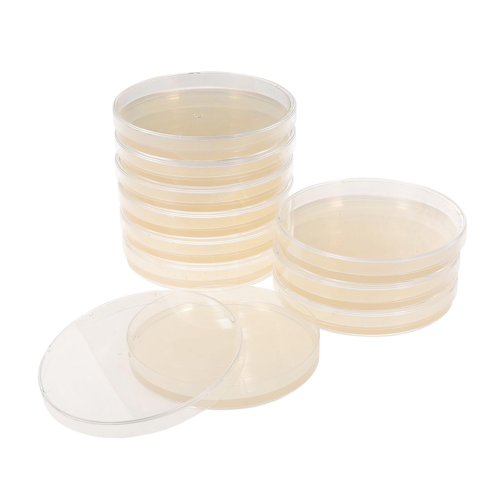 20 Piezas Placas de Petri Agar Nutritivo Prevertidas de 9cm