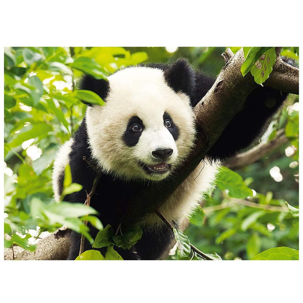 5D DIY Diamant Peinture Kits Panda Mignon Plein Forage Cristal Strass Adultes Point Croix Broderie Diamond Painting Mosaïque Toile Pour Maison Salon Mural Décor Artisanat cadeau 70x90cm/28x36in E3843