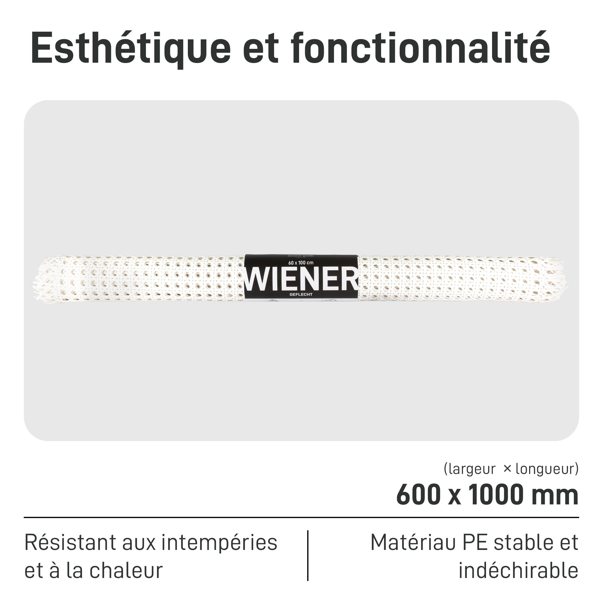 Natural Goods Berlin Cannage Rouleau Pour Meuble | Rattan Tressé Pour Meubles DIY Comme Porte D'Armoire, Chaise, Commode, Buffet, Banc, Cloison Ou Brise-Vue | Tressage De Panier 45x100 Cm En Noir