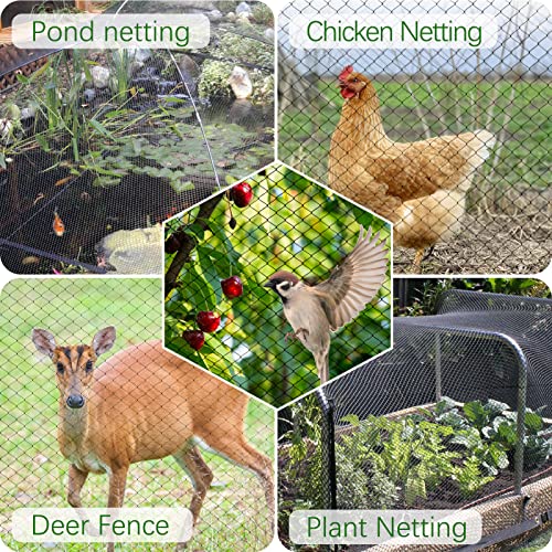 Fabulas Bird Netting Heavy Duty 50' X 50' Poultry Netting With 2" Square Mesh Net For Chicken Coop, Garden Netting Nylon For Aviary, Deer Fence, Protect Fruit Trees Plant Vegetables Against Animals #TOP5