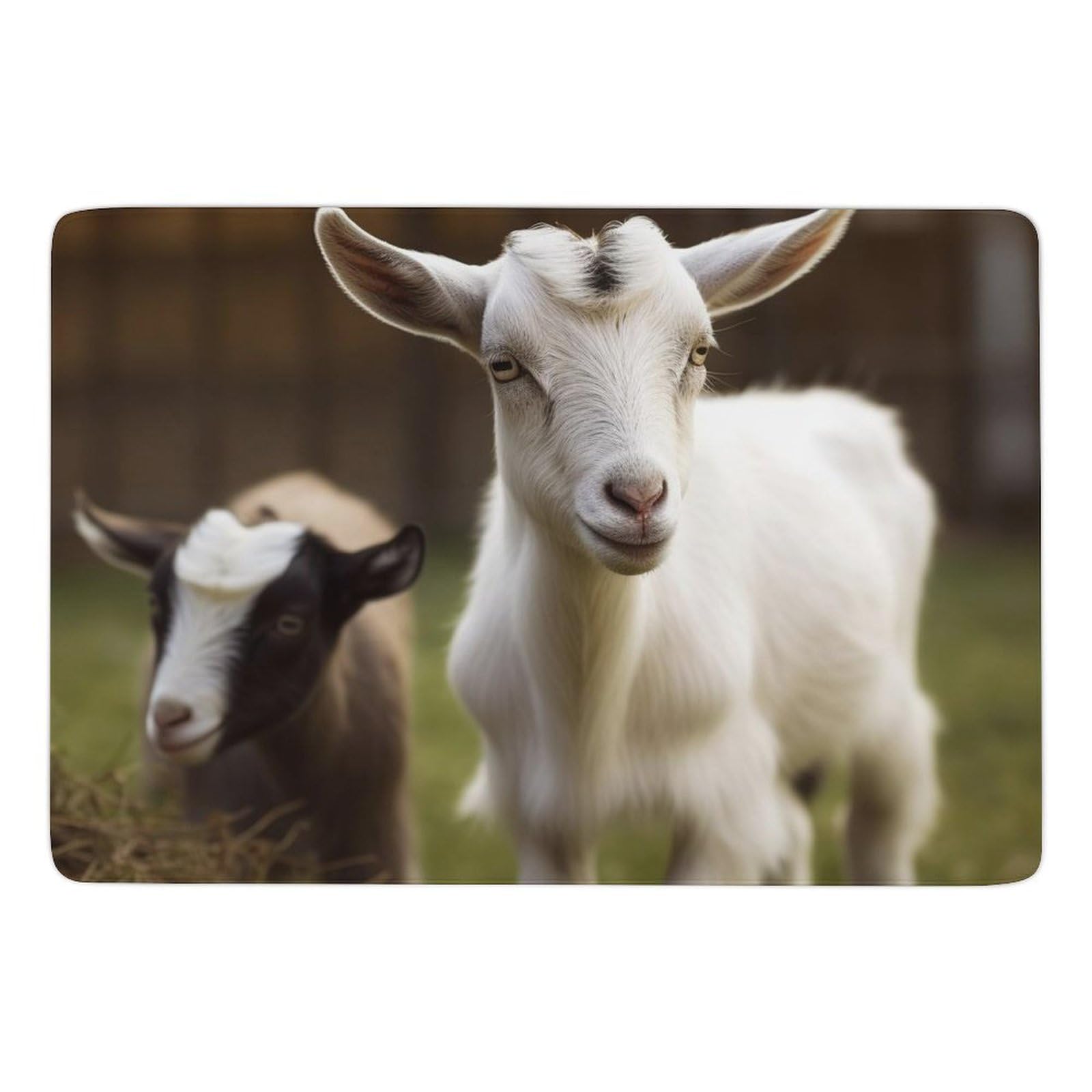 Grand tapis de chambre moderne en velours pour cuisine et salon