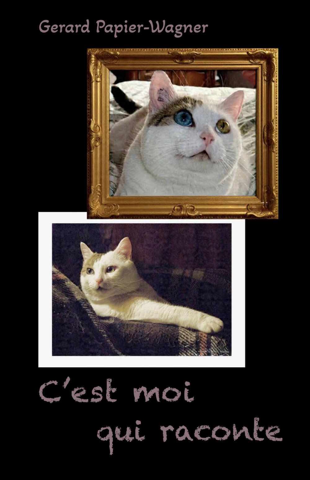 C'EST MOI QUI RACONTE