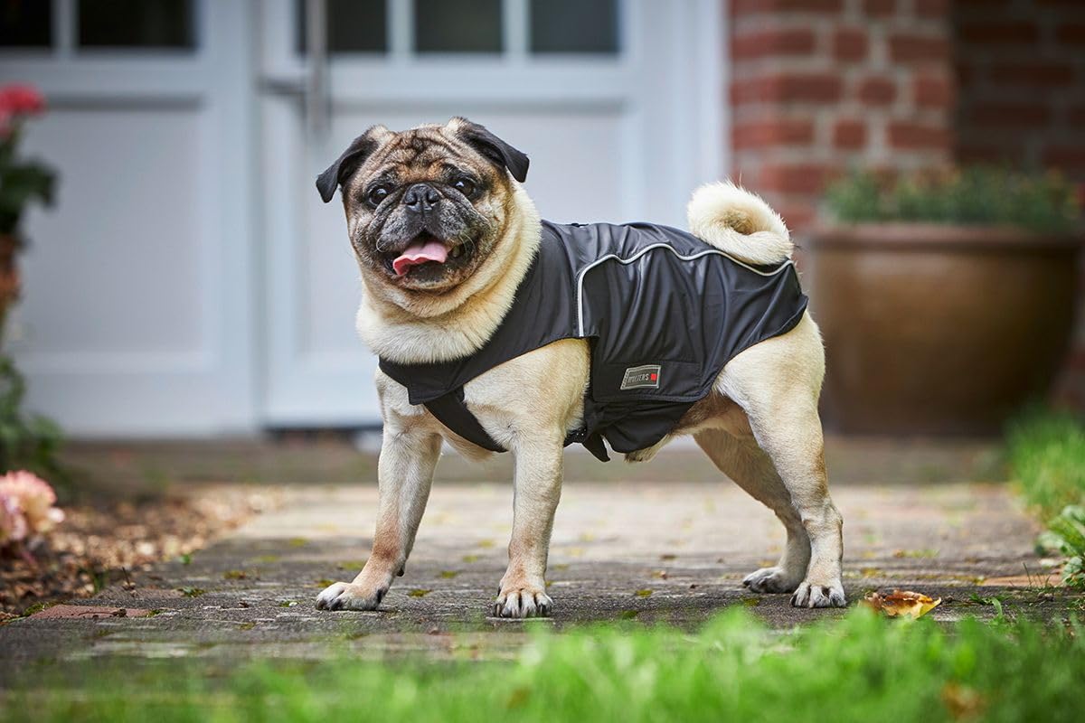 Wolters | Regenjacke Easy Rain für Mops&Co. schwarz/schwarz | Rückenlänge 38 cm