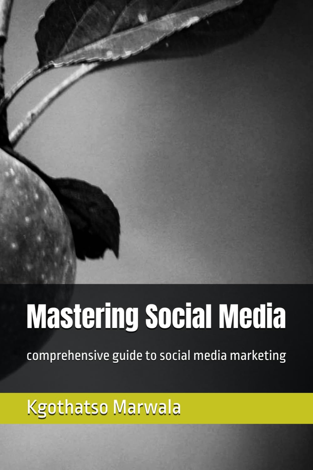 Mastering Social Media: comprehensive guide to social media marketing