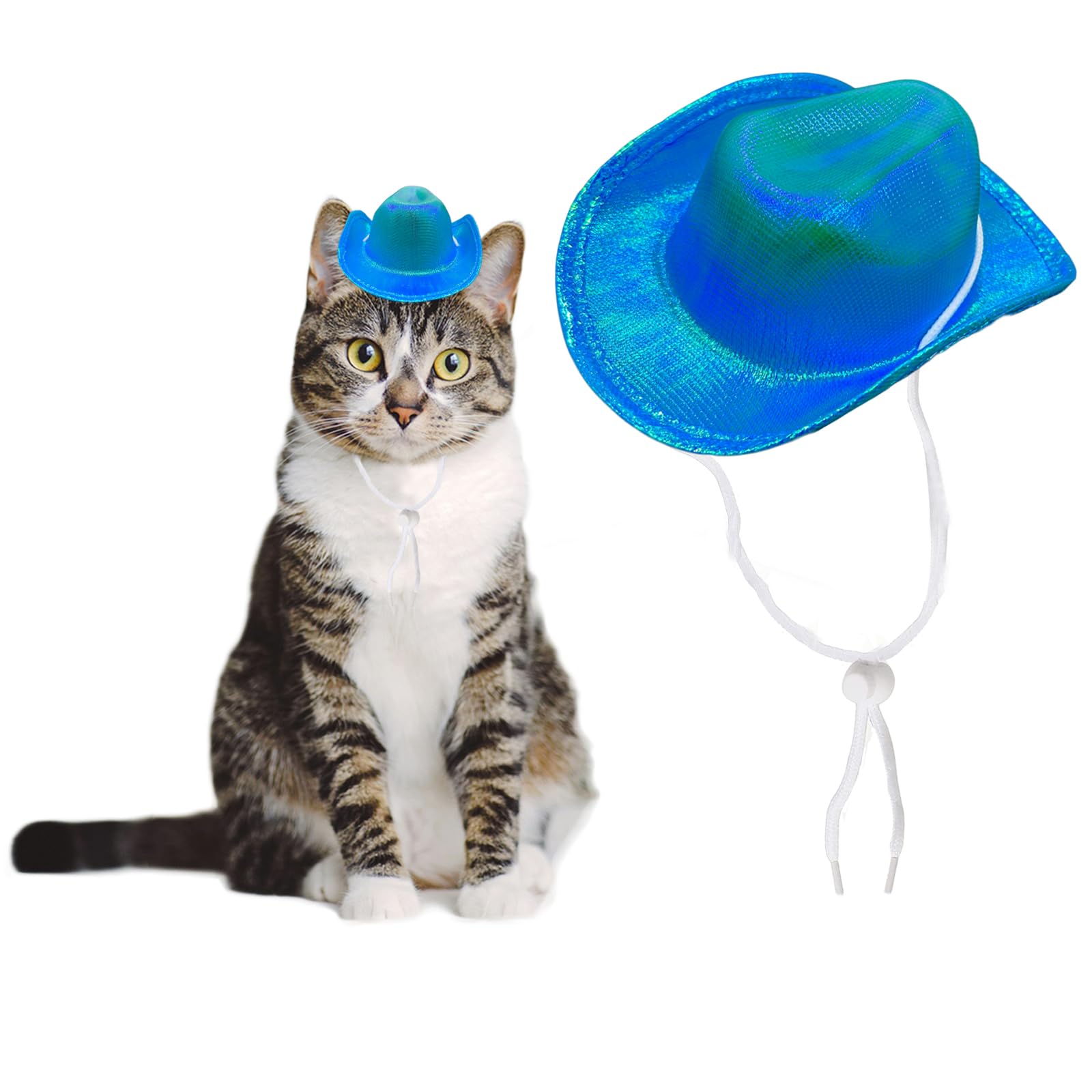 AWOCAN Dog Cowboy Hat Cat Cowboy Hat Pet Cowboy Costume Mini Cowboy Hat for Dogs Cat Holiday Halloween Pet Party Decoration (Blue-style2, Small)