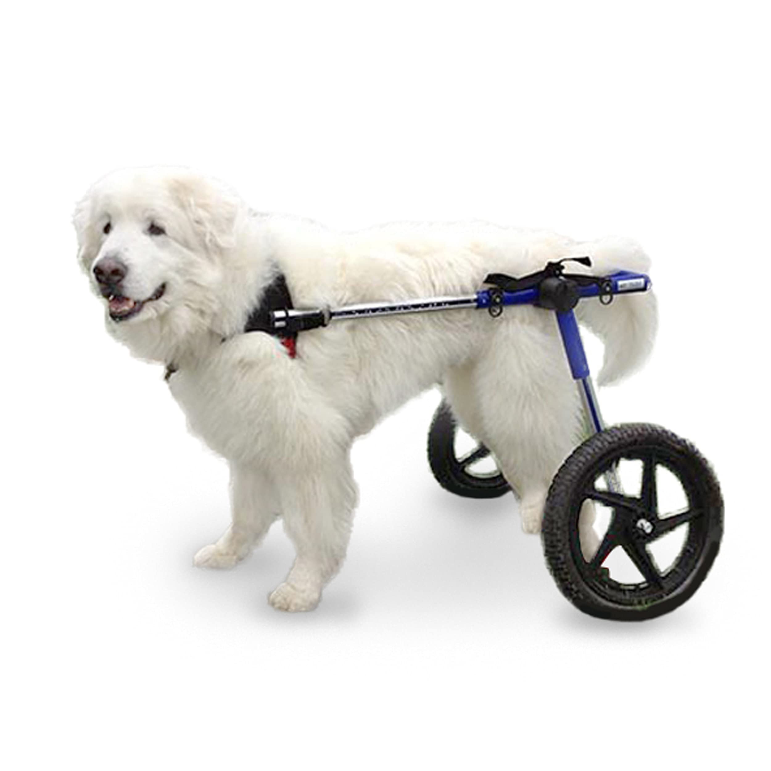Buy Walkin' Wheels Dog Wheelchair for Large Dogs 70180 Pounds