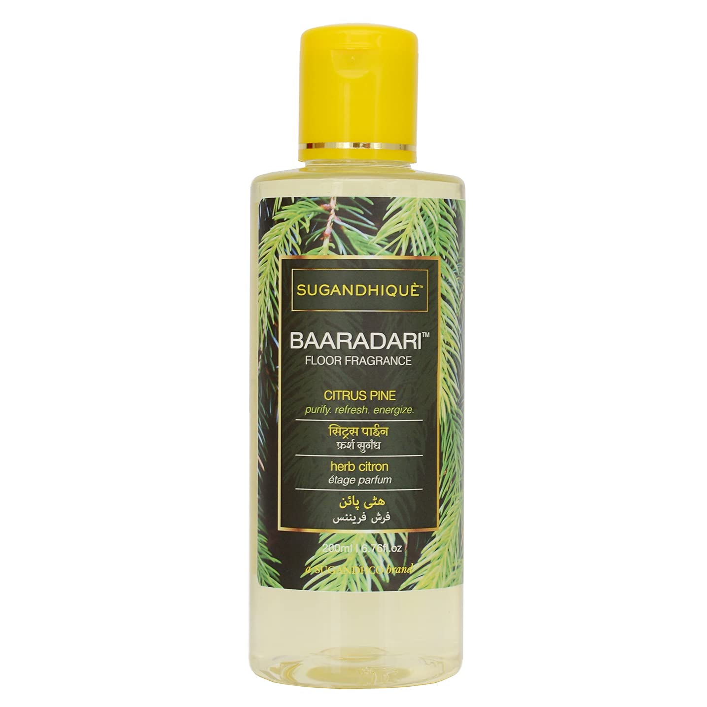 SUGANDHIQUE Baaradari Citrus Pine Floor Fragrance (200 ml) (B011YP1NZ0) Amazon Price History, Amazon Price Tracker