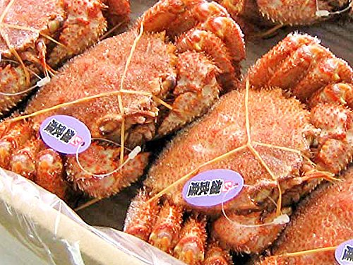 北海道産　毛蟹　2尾セット（1尾約300g） ボイル　冷凍　蟹　かに　毛がに かに通販お取り寄せ｜【北海道オホーツク産】毛蟹[450g前後]を2