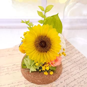 限定1点❣️LEDライト ガラスドーム ひまわり プリザーブドフラワー Amazon｜プリザーブドフラワー ドライフラワー ひまわり