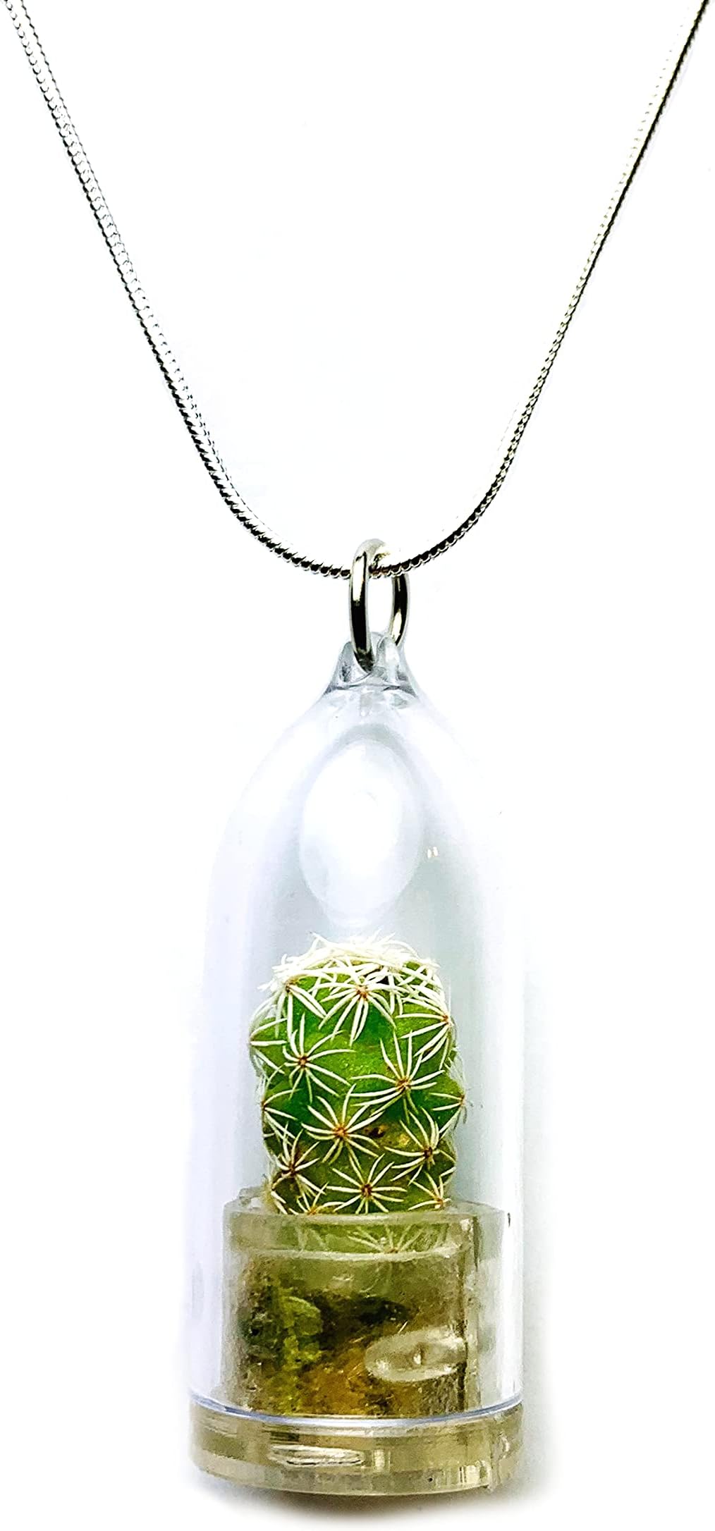 Live Wearable Cactus Necklace Miniature White Cactus Necklace Nature Terrarium Necklace