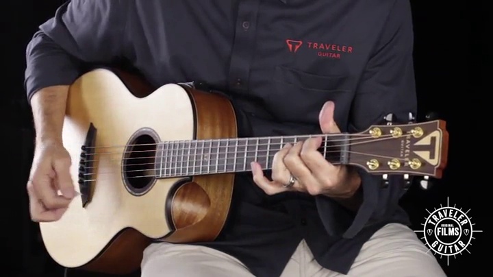 Amazon.com: Traveler Guitar CL-3E Acoustic/Electric with Gig Bag