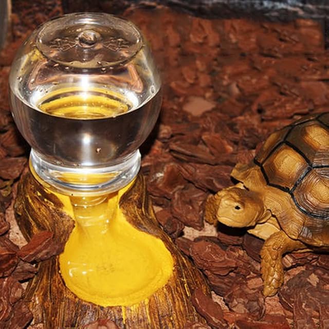 Foto 5 de 7 de Agua, Alimentador Automático Agua para Reptiles, Accesorios Tanque Dragón Barbudo