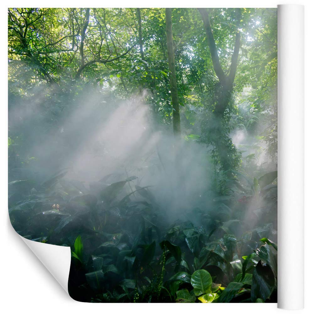 Muralo Fototapeta z włókniny, 312 x 219 cm, naturalny las, tapeta ścienna, drzewa, pnie, liście, rośliny, salon, sypialnia, nowoczesne obrazy ścienne, dekoracja na ścianę, wymiary 312 cm x wysokość 219 cm