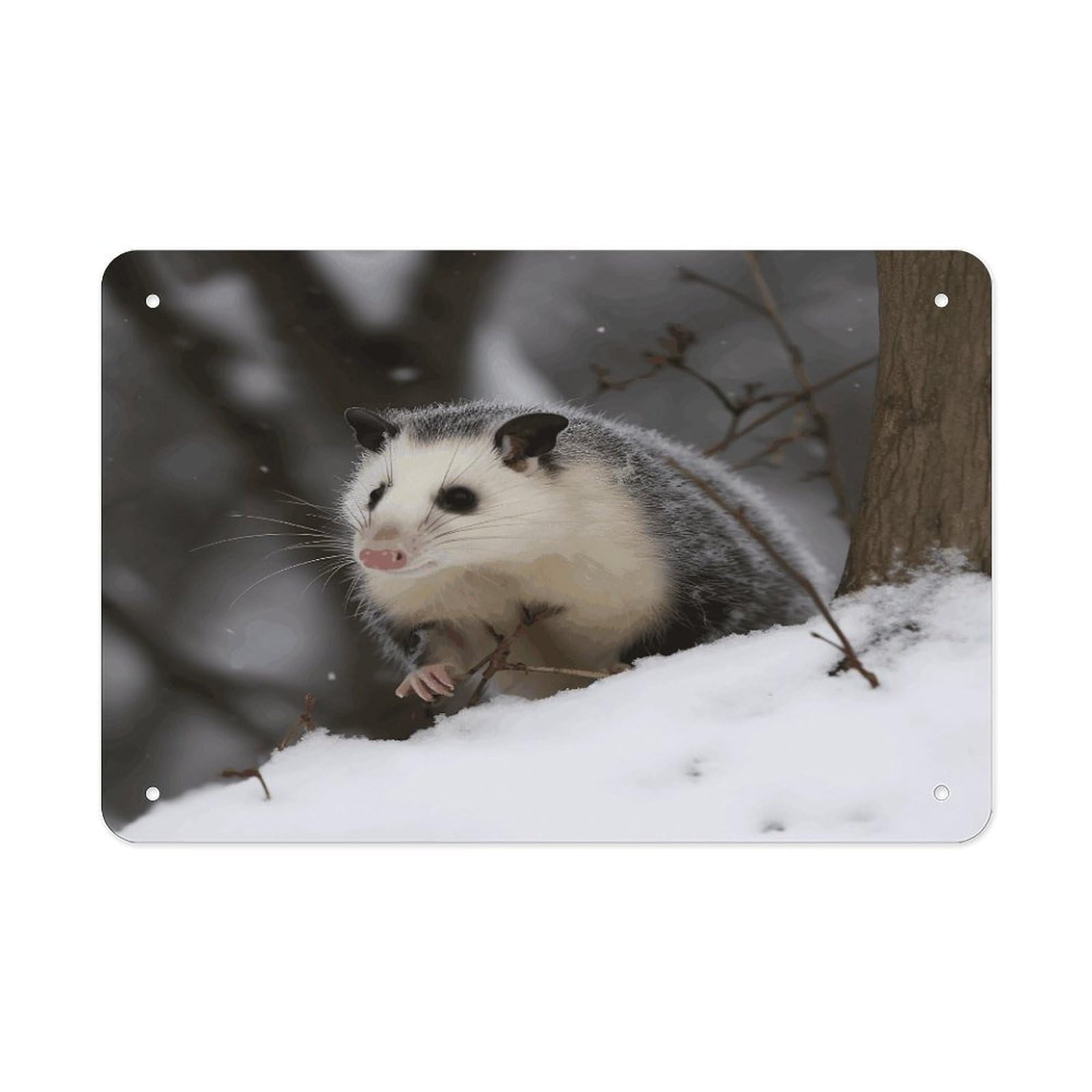 Opossum In Snow Metal Tin Sign 12"x8" Wall Art Prints Poster Decorative Picture Metal Signboard Decor Painting Folded Edge Iron Sheet Painting with Holes for Wall Decor