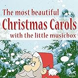 Snow Falls Softly at Night