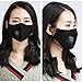 Dust Mask with 2 Filters Washable and Adjustable PM2.5 Mouth Cover Mask（ Black Mask）