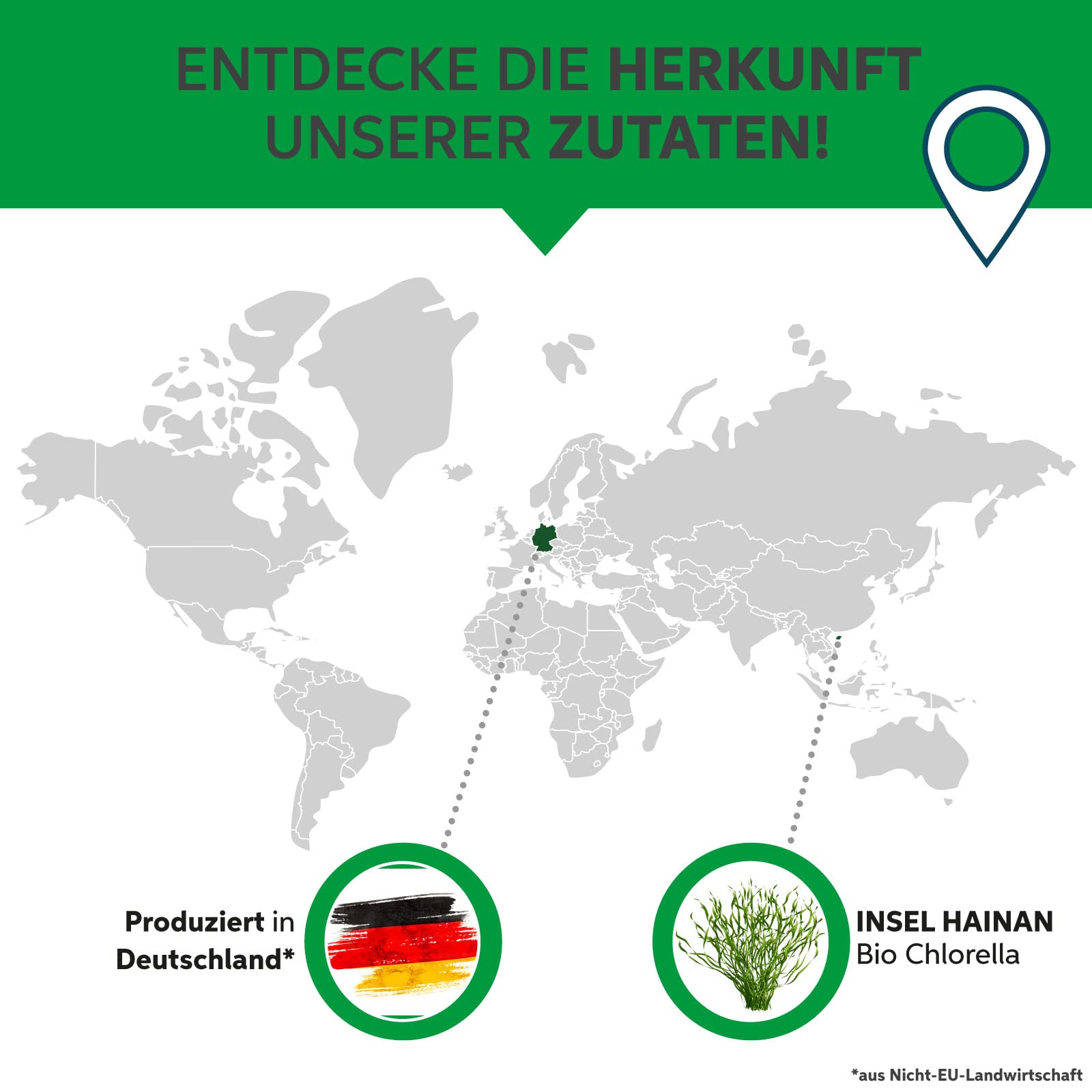 Bio Chlorella Pulver 1kg | Premium Rohkost-Qualität | 100% reines Algen-Pulver ohne Zusätze | Zellwand gebrochen Vegan