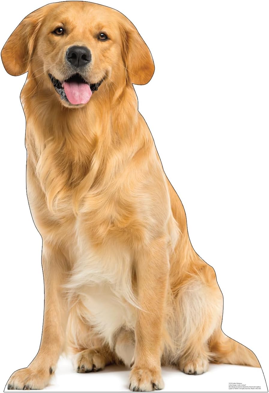 Golden Retriever Life-Size Cardboard Stand-Up, 45" x 30"